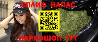 шишки Камышлов