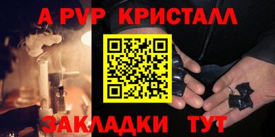 шишки Камышлов