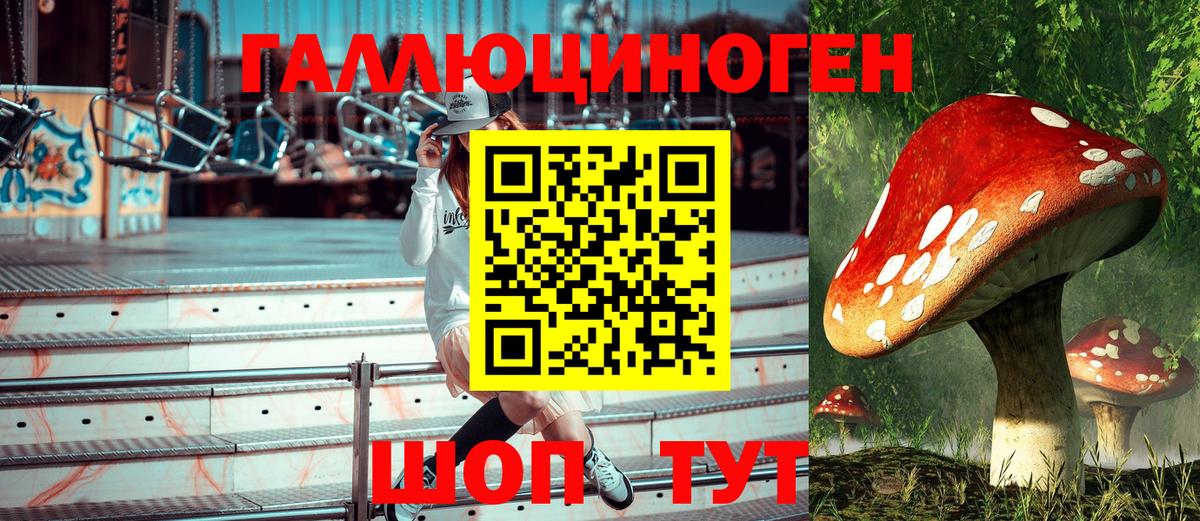 Галлюциногенные грибы ЛСД  Галлюциногенные грибы Psilocybine cubensis  Вход с VPN  Стрежевой 